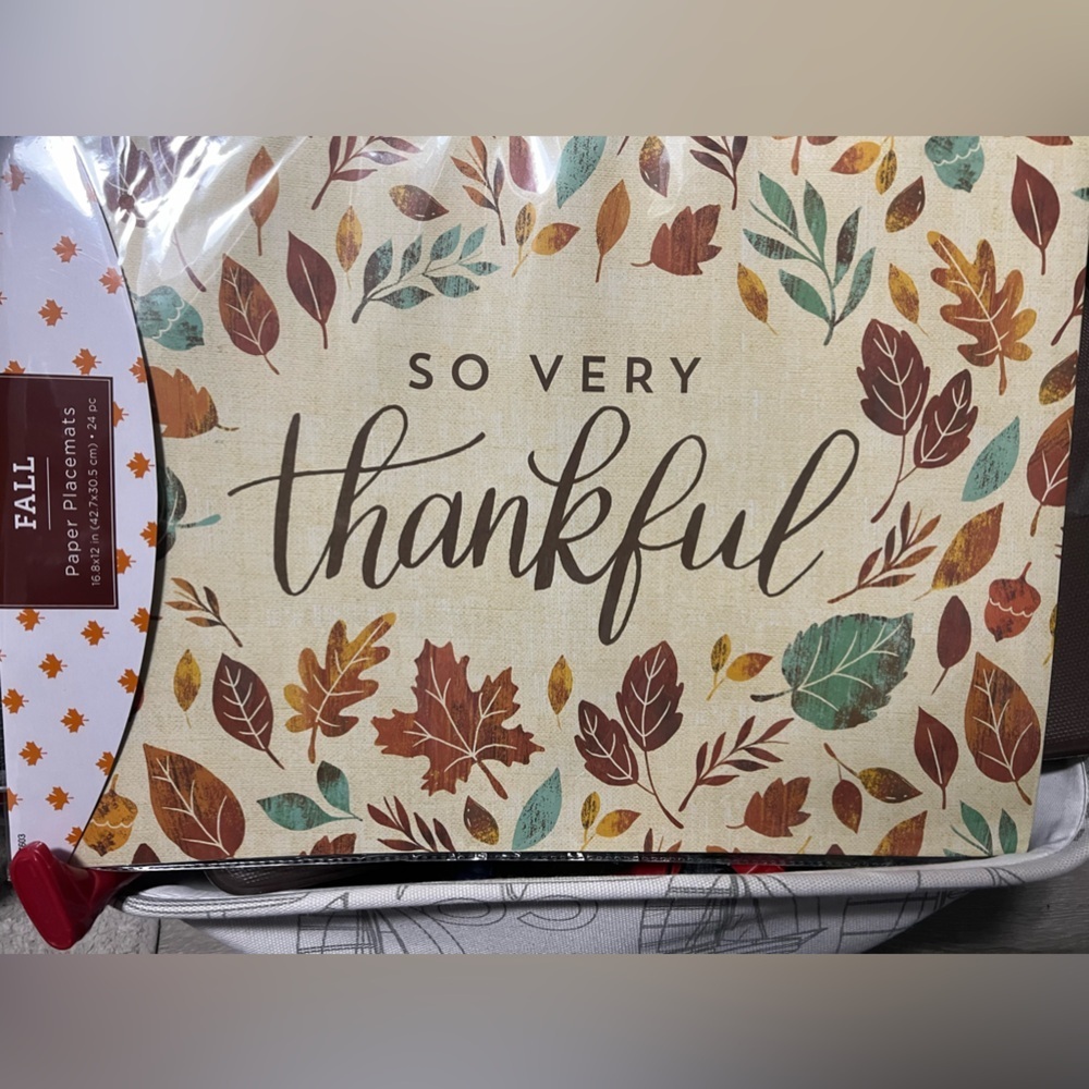 NWT-“So Very Thankful” 24 Placemats